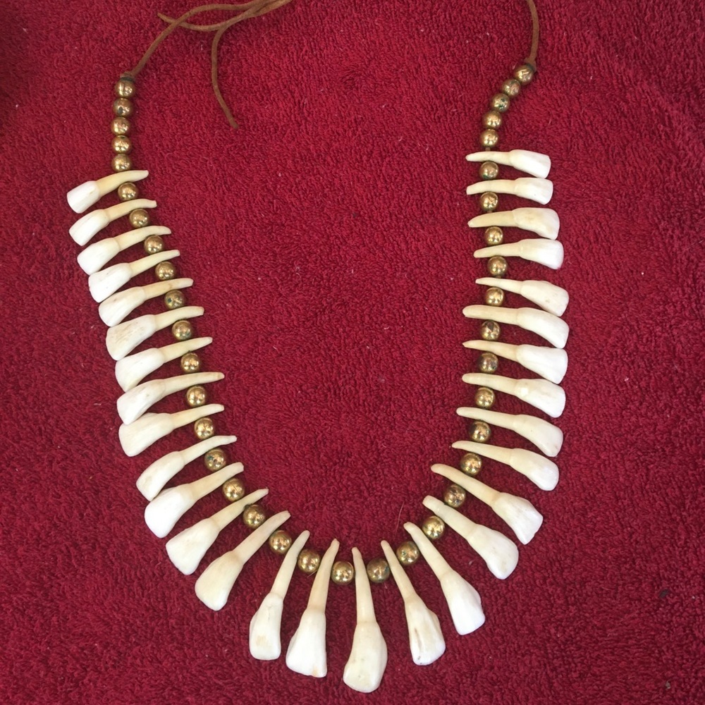 Tooth necklace from Hawaii! Tooth origin unknown.